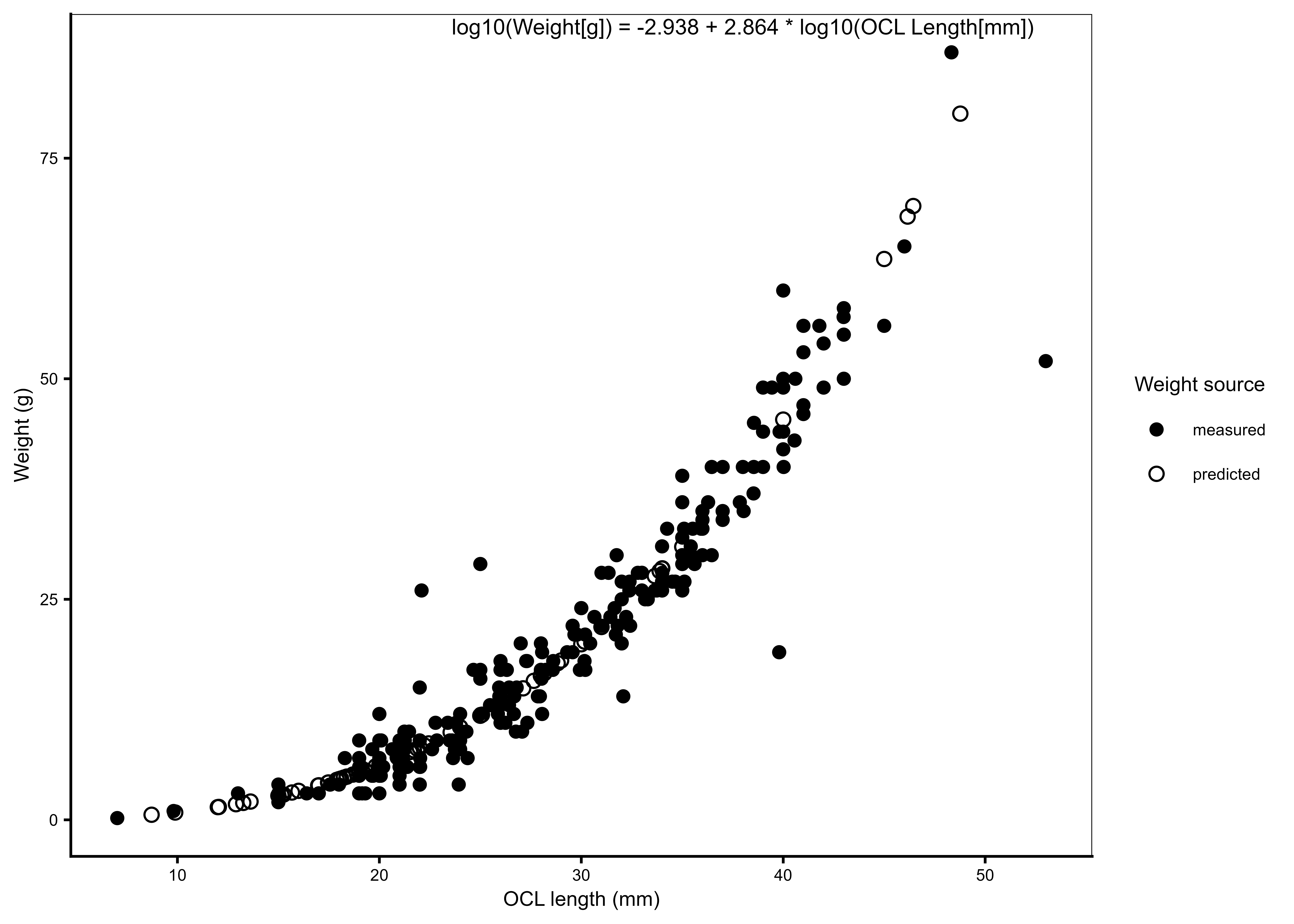 Length–weight relationship used to estimate missing kōura weights. Observed (measured) and model-predicted body weights are shown in relation to orbital carapace length (OCL). The log₁₀–log₁₀ regression was fitted to individuals with both length and weight measurements (n = 240) and used to estimate missing weights (n = 81). Predicted values were back-transformed using a lognormal bias correction factor. The fitted regression equation is shown on the plot.